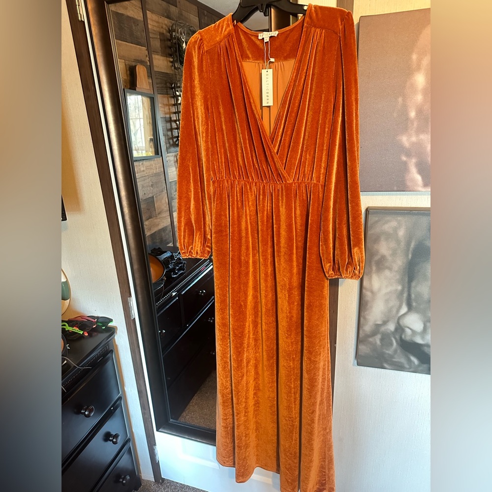 New! Baltic born velvety long sleeve dress